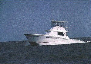 Full Draw Charters Outer Banks North Carolina Fishing Sportfishing Oregon  Inlet